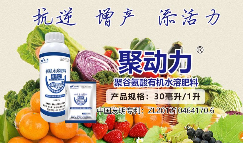 肥料檢出植物生長調節(jié)劑最高可處20倍罰款，聚谷氨酸或成安全增效新選擇